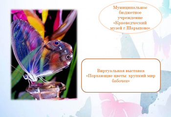 "Порхающие цветы: хрупкий мир бабочек"